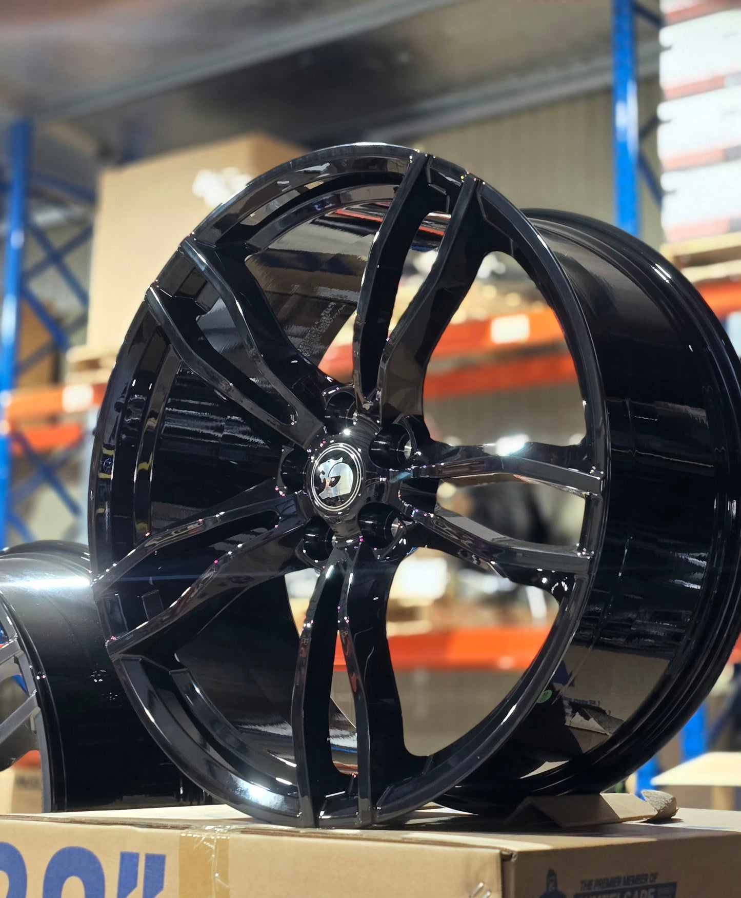 22" VF SV Rapier Forged Wheels Staggered